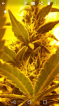 Screenshot_2018-02-18-20-38-12