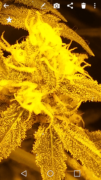 Screenshot_2018-02-18-20-36-59