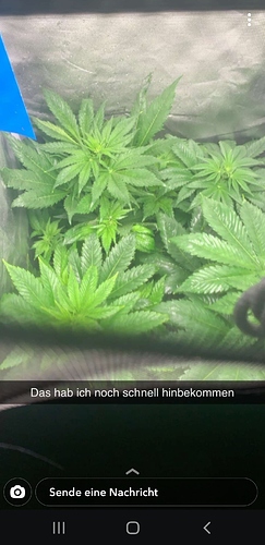 Screenshot_20200425-180114_Snapchat