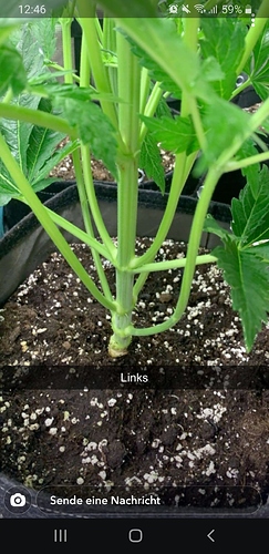 Screenshot_20200427-124646_Snapchat