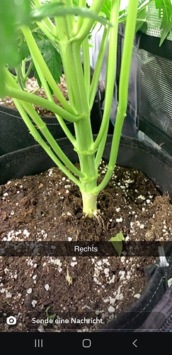 Screenshot_20200427-124641_Snapchat