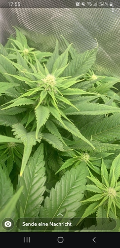 Screenshot_20200516-175540_Snapchat