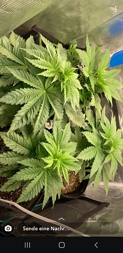 Screenshot_20200414-122404_Snapchat