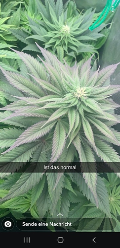 Screenshot_20200518-145053_Snapchat