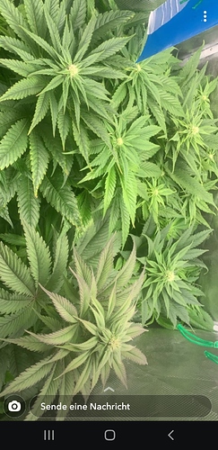 Screenshot_20200516-175524_Snapchat