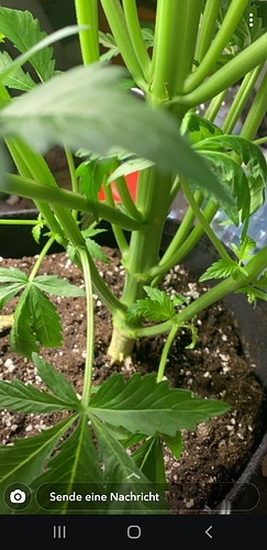 Screenshot_20200427-122022_Snapchat