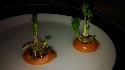 IMG_20190604_091758%5B1%5D