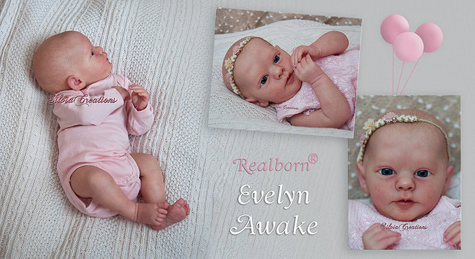 seevelynawake1