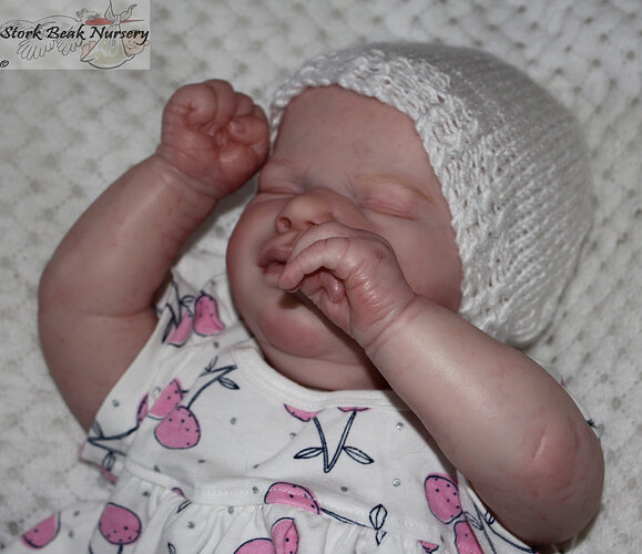 IMG_0012_edited-1%20copy