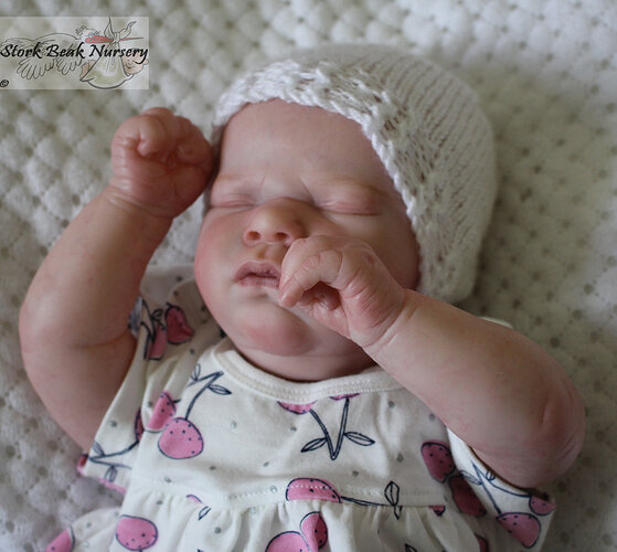 IMG_0011_edited-1%20copy