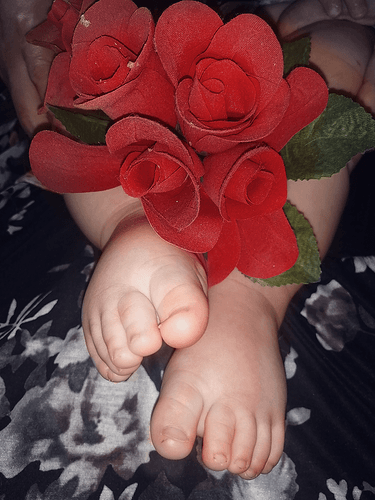 48518a7dbeae84f09c13105fd1eaf927abd37c38_2_750x1000