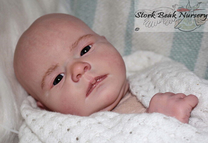 IMG_0029_edited-1 copy
