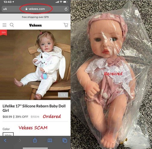 vekees scam 6