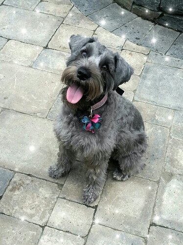 42304058_10210148586390698_2871310337456472064_o