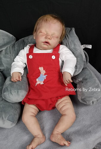 Robinfullbodyredrabbit