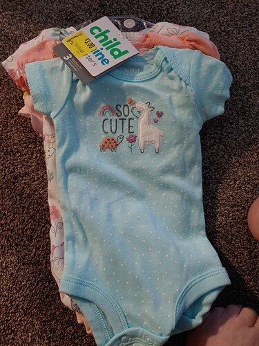 16125625282671278837771442505224