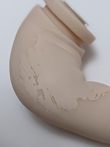 PXL_20210505_165722648.PORTRAIT