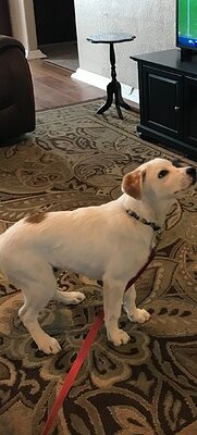 01165df2e502d461e82c0b7d32f0d0ba6b803f23f7