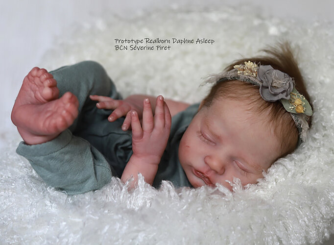 SPDaphneAsleep1