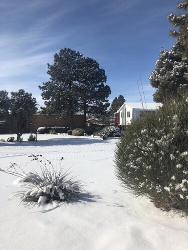 01df13df797e4c11c33be4261a13c1cb6f41ff43c0