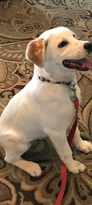 01c716876a1fa4288d787bf58978a8e8dfe023b2df