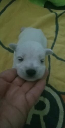 video-1558809140_Moment2