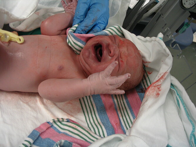 17fev2011(5)