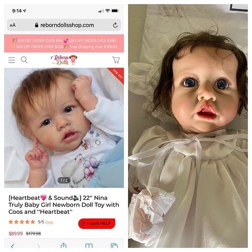 123407601_3255984987861559_3030471302233485262_n