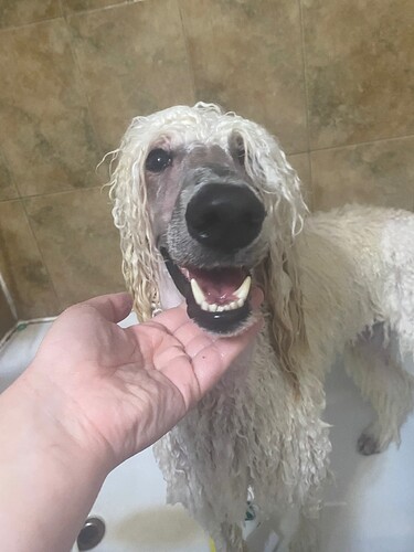 IMG_6631