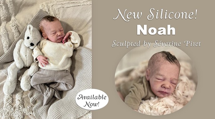 SiliconeNoahHomePageBanner