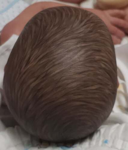 7f420910-082a-48b2-9a9c-0d13ac94d384