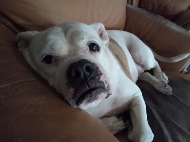 IMG_20240810_140130277