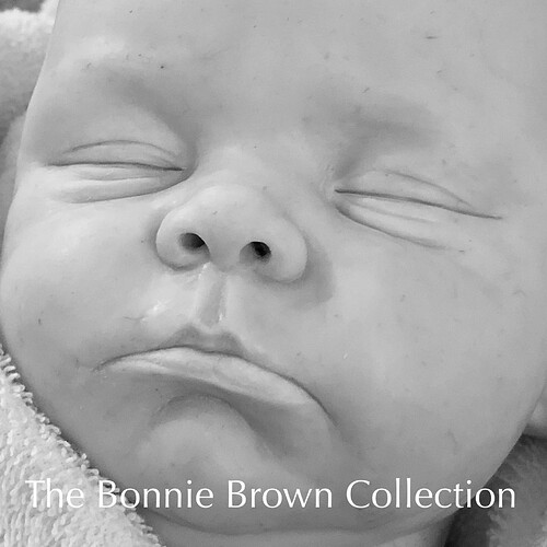 Bonnie Brown WIP. jpg