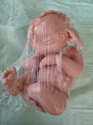20260603_173401