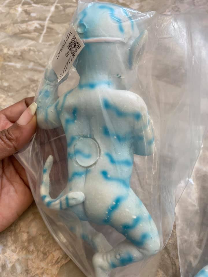 109721712_10221341309274679_108233429316750645_n