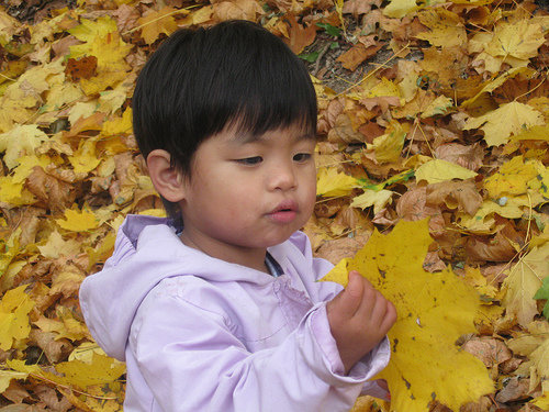 G%20in%20the%20leaves