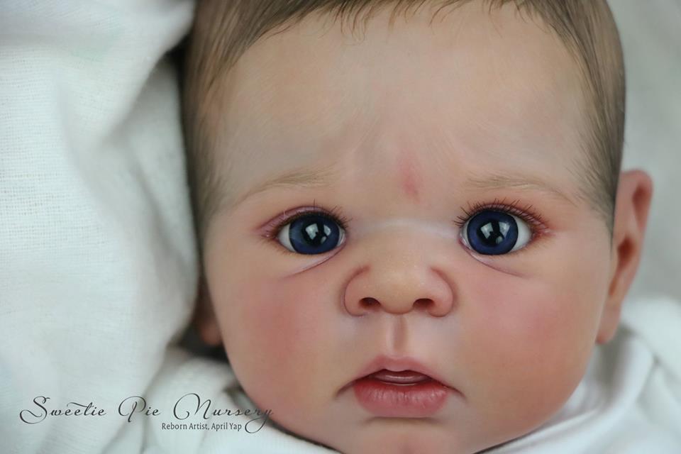 31936784_1799613506773221_6261194390576824320_n