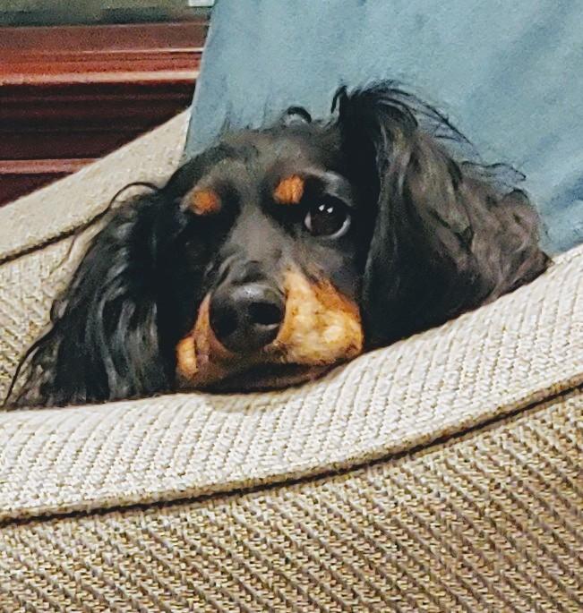 Lulu%20watching