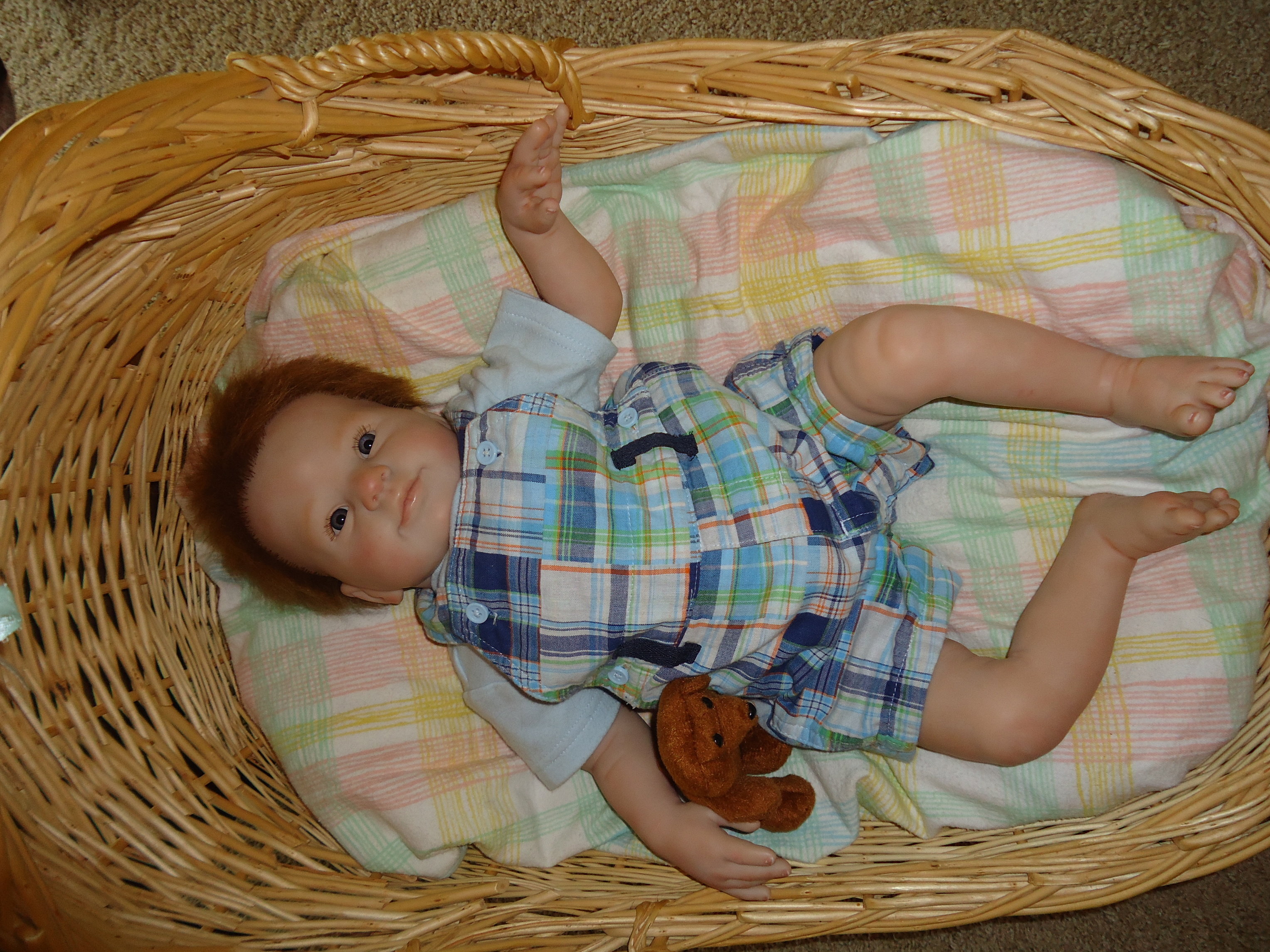 Show me your Holly's! - Baby Talk - Bountiful Baby Customer Forum