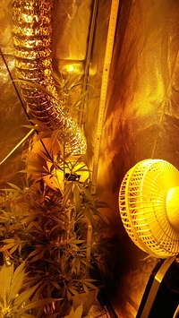 Growreport Bild 19
