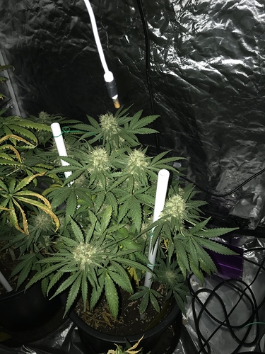 Growreport Bild 14