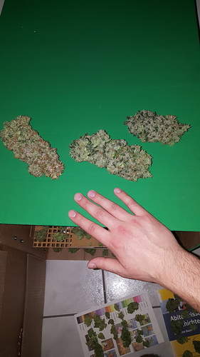 Growreport Bild 2
