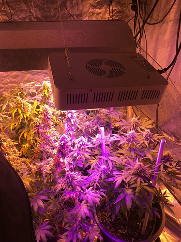 Growreport Bild 9