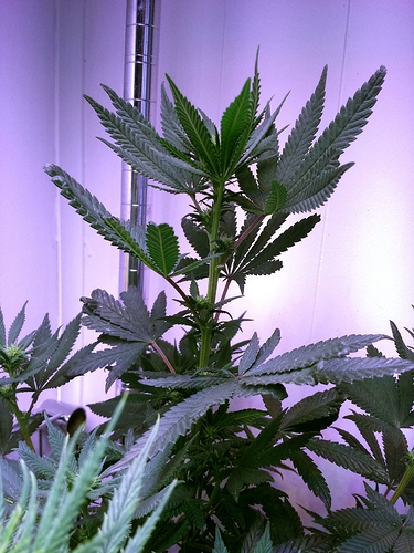 20180327_145304