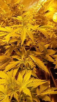 Growreport Bild 22
