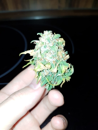 Growreport Bild 5