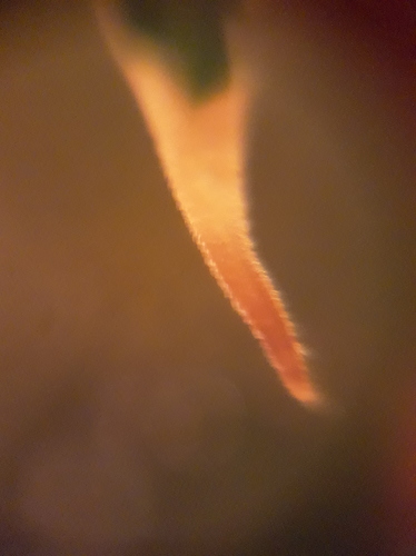 Growreport Bild 20