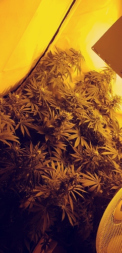 Growreport Bild 2