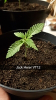 Growreport Bild 9