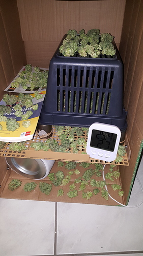 Growreport Bild 3